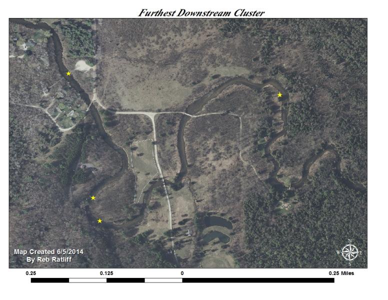 Furthest Downstream Cluster